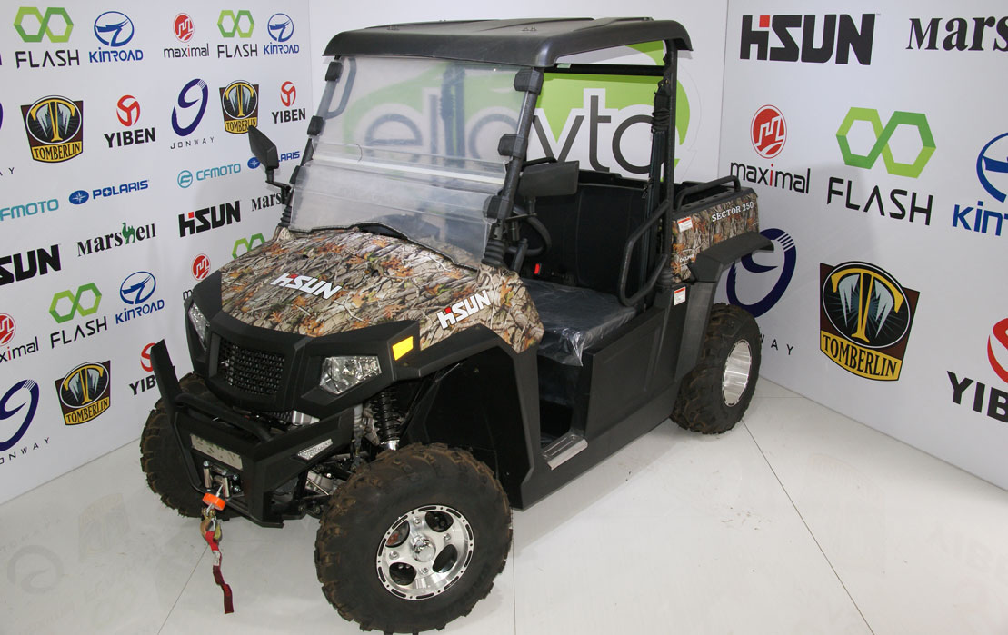 Baqi HS250UTV-SECTOR