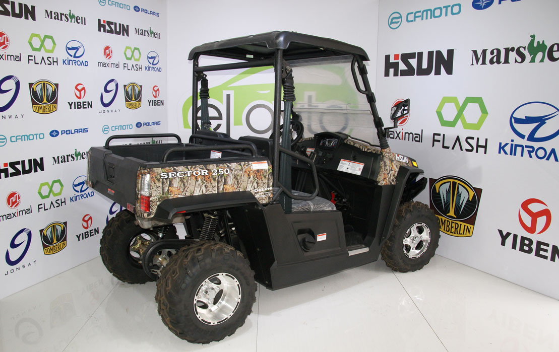 Baqi HS250UTV-SECTOR
