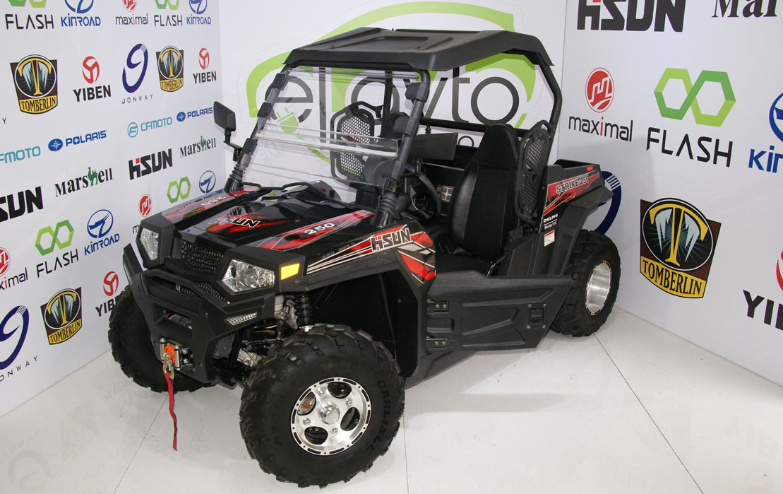 Baqi HS250UTV-SECTOR