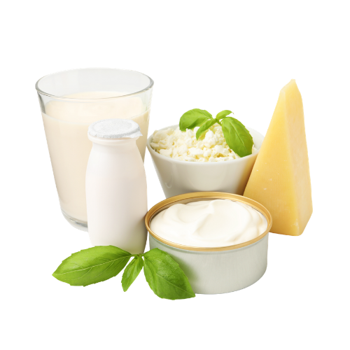 Süd və süd məhsulları