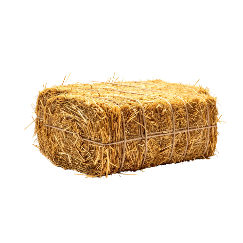 Heyvanlar üçün məhsullar və yemlər